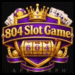 804Slot Game